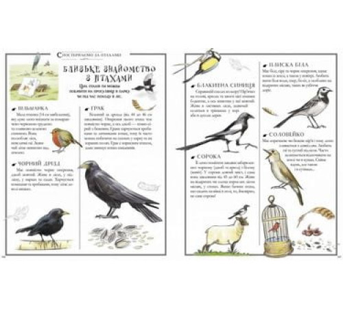 Дитяча художня література Boys’ Book. Підручник відважного мандрівника Дитяча художня література Boys’ Book. Підручник відважного мандрівника