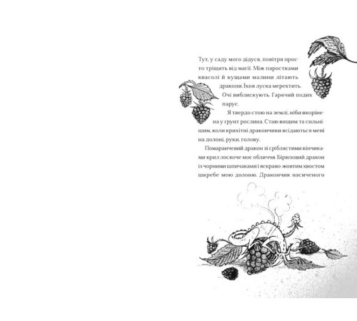 Фантастика та фентезі Хлопчик, який співав з драконами. Книга 5 Фантастика та фентезі Хлопчик, який співав з драконами. Книга 5