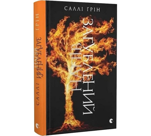 Фантастика та фентезі Напівзагублений. Книга 3