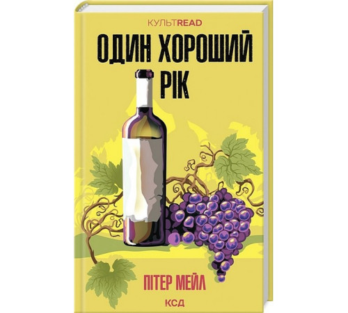 Романи Один хороший рік