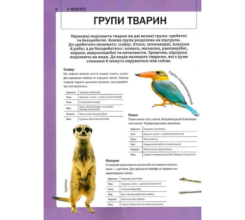 Енциклопедії Велика книга тварин Енциклопедії Велика книга тварин