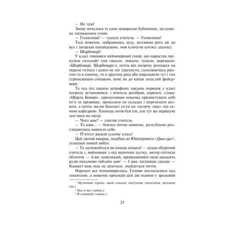 Класична і сучасна проза та поезія Класична і сучасна проза та поезія Пані Боварі