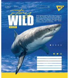 Зошит уч. YES 96арк.== 765064 Stay wild (5 120)