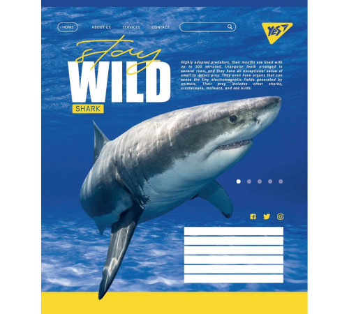 Зошити Зошит уч. YES 96арк.== 765064 Stay wild (5 120) Зошити Зошит уч. YES 96арк.== 765064 Stay wild (5 120)