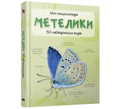 Енциклопедії Метелики. 50 найвідоміших видів: міні-енциклопедія.