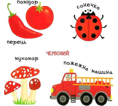 Навчальні книжки Сторінки - цікавинки. Яскраві кольори Навчальні книжки Сторінки - цікавинки. Яскраві кольори