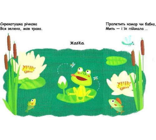 Навчальні книжки Сторінки - цікавинки. Яскраві кольори Навчальні книжки Сторінки - цікавинки. Яскраві кольори